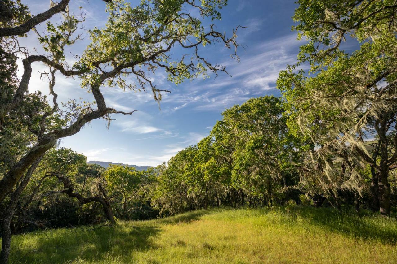 The Camp At Carmel Valley Exteriör bild